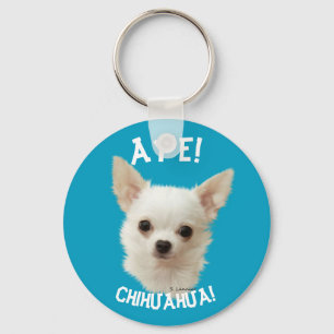 Chaveiro Chihuahua branco, Aye Chihuahua