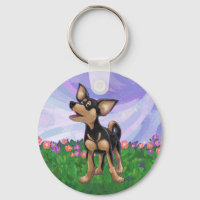 Chihuahua Ofertas e Acessórios