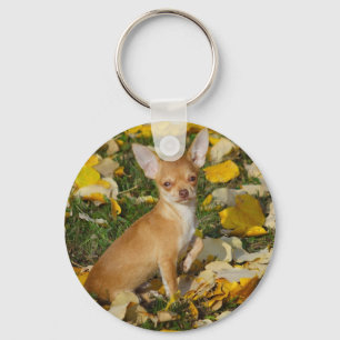 Chaveiro Chihuahua Puppy Adorável Entre Folhas Amarelas