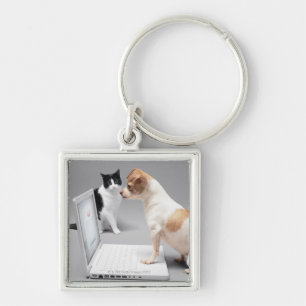 Chaveiro Chihuahua que olha na tela de um laptop