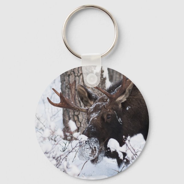 Chaveiro Chilly Moose (Frente)
