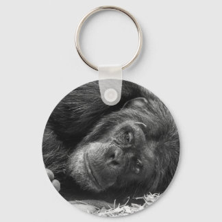 Chaveiro Chimpanzé