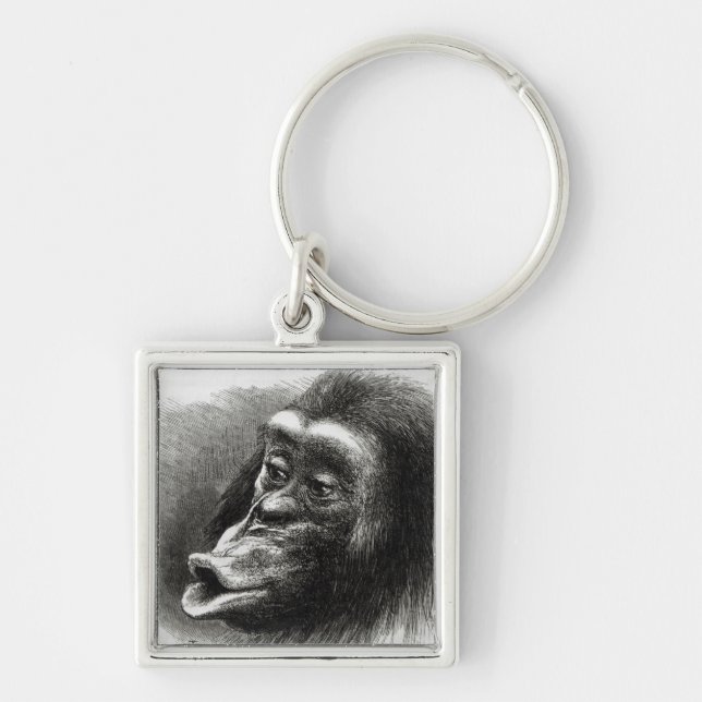 Chaveiro Chimpanzé decepcionado e Sulky (Frente)