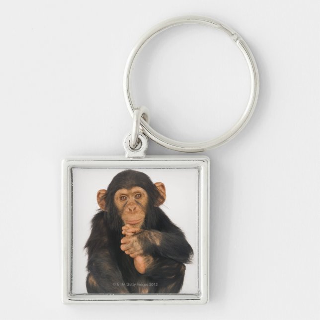 Chaveiro Chimpanzé (troglodytes da bandeja). Playfull novo (Frente)