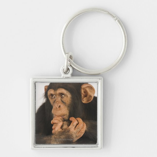 Chaveiro Chimpanzé (troglodytes da bandeja). Playfull novo (Frente)