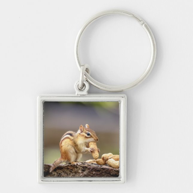 Chaveiro Chipmunk comendo amendoim (Frente)