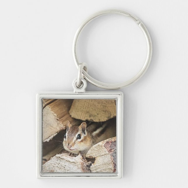 Chaveiro Chipmunk numa pilha de madeira (Frente)