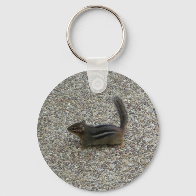 Chaveiro Chipset (Frente)