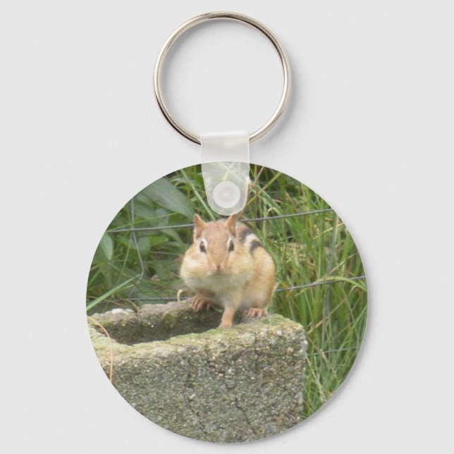 Chaveiro Chipset Cute (Frente)