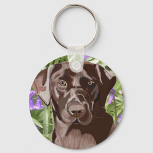 Chaveiro Chocolate Brown Labrador contra Bluebeldes