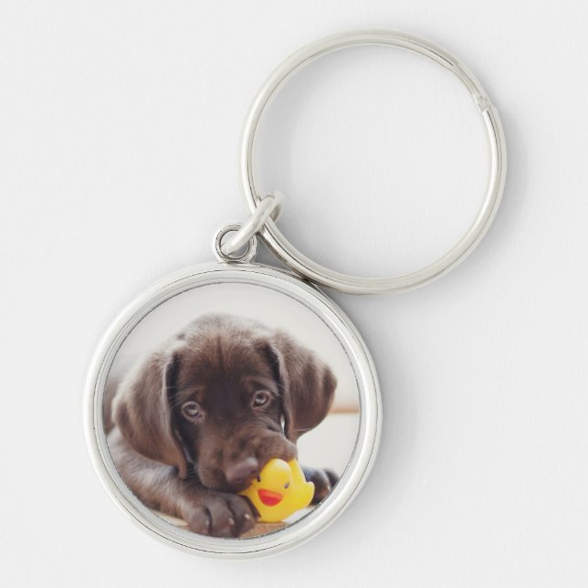 Chaveiro Chocolate Labrador Com Pato De Brinquedo (Frente)