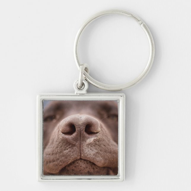 Chaveiro Chocolate Labrador Nose Closeup (Frente)