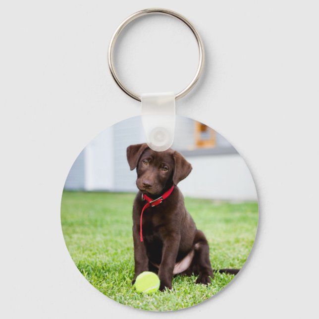 Chaveiro Chocolate Labrador Puppy Com Bola De Tênis (Frente)