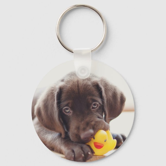 Chaveiro Chocolate Labrador Puppy Com Pato De Brinquedo (Frente)
