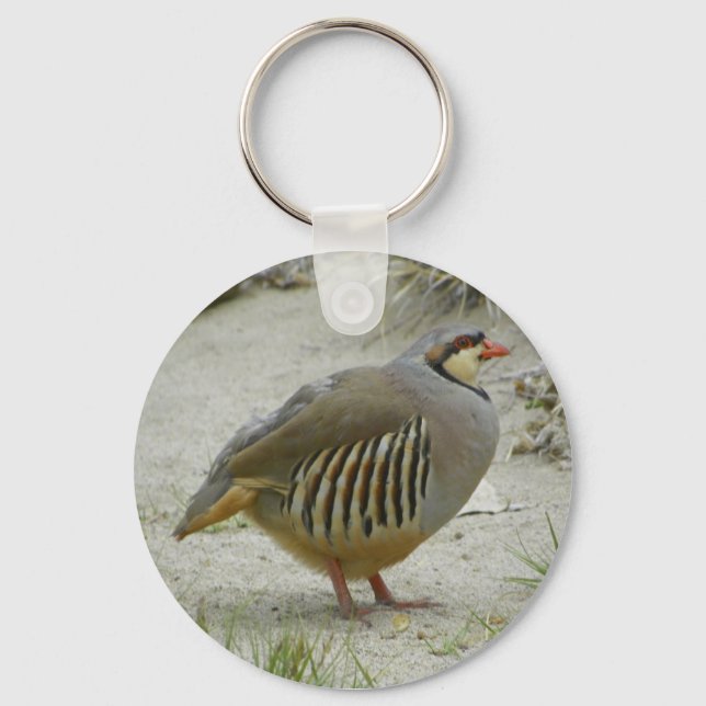 Chaveiro Chukar Partridge (Frente)