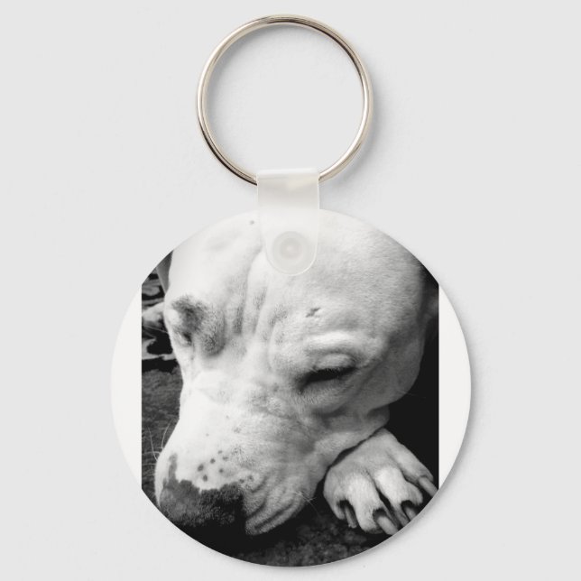 Chaveiro cicatriz do harry potter cachorro pit bull branco (Frente)