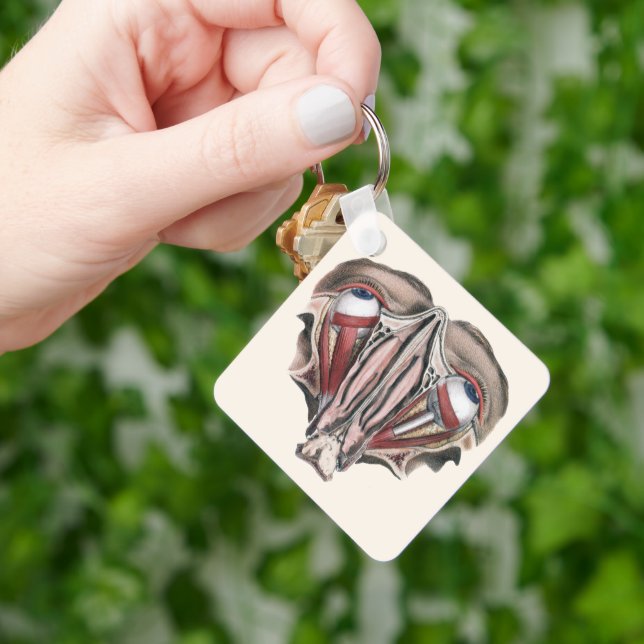 Chaveiro Ciência de Anatomia Humana Vintage, Olhos Globos O (Mão)