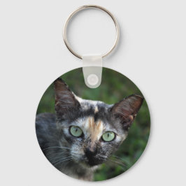 Chaveiro Cinza de Gato Branco Castanho com Olhos Verdes