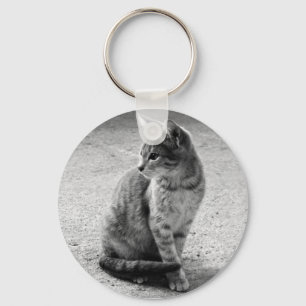 Chaveiro cinzento do gato