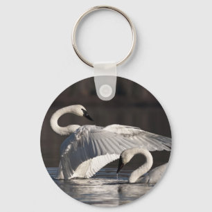 Chaveiro Cisnes Adoráveis