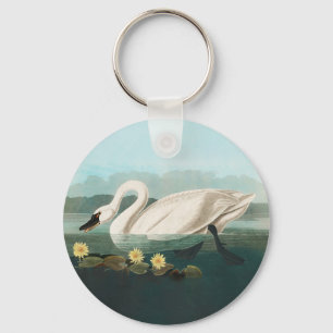 Chaveiro cisnes brancas de pássaro de audubon do cisne