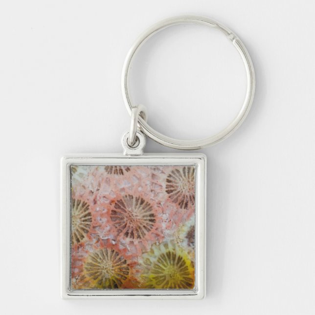 Chaveiro Close-up de Coral Rosa (Frente)