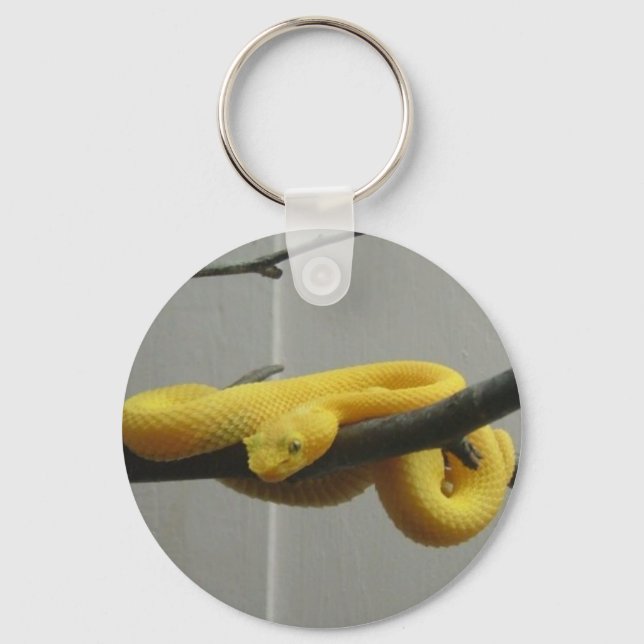 Chaveiro Cobra (Frente)