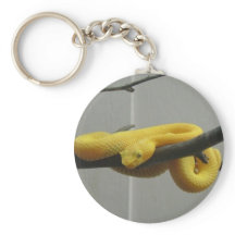 Cobra