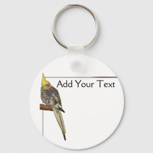 Chaveiro Cockatiel pálido em uma ramificação com branco