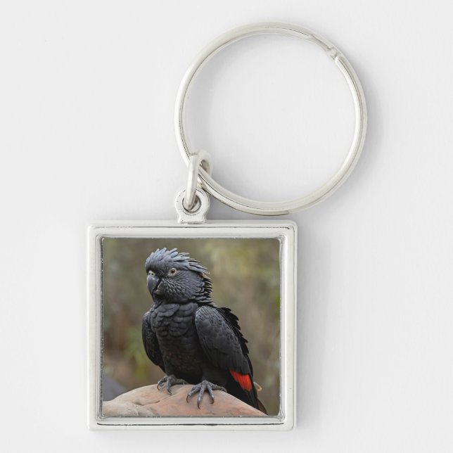 Chaveiro Cockatoa Preta (Frente)
