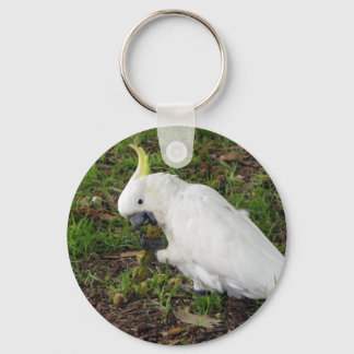 Chaveiro Cockatoo australiano