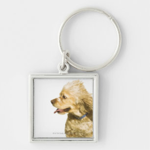Chaveiro Cocker spaniel