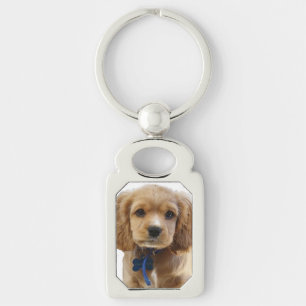 Chaveiro Cocker spaniel