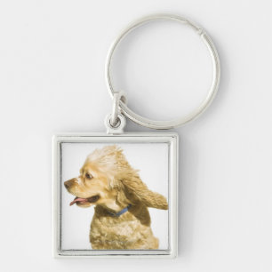 Chaveiro Cocker spaniel