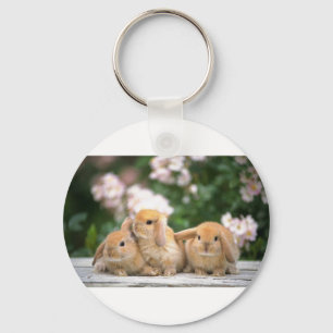 Chaveiro coelhos amorosos