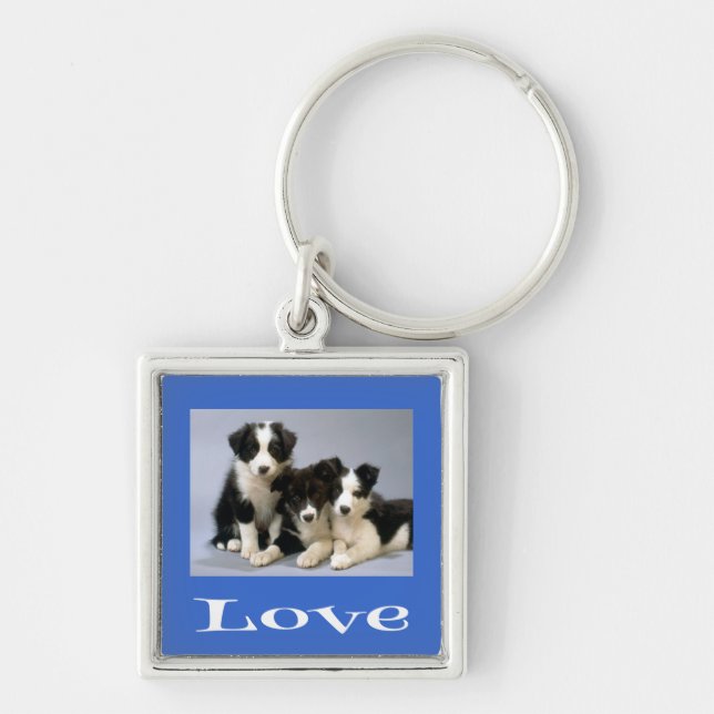 Chaveiro Colar de Cachorro Border Collie Azul Amor (Frente)