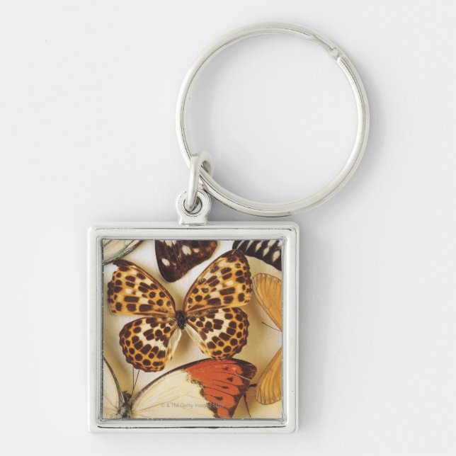 Chaveiro Coleção da borboleta (Frente)