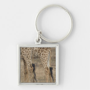 Chaveiro Colheita apertada de dois girafas (Giraffa