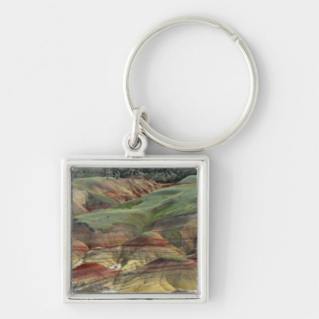 Chaveiro Colinas Pintadas, Leitos Fossilíferos de John Day, (Frente)