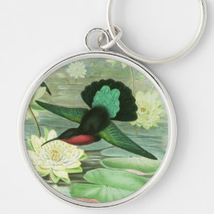 Chaveiro colorido da corrente chave do colibri de
