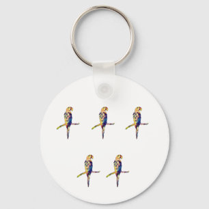 Chaveiro Colorir Keyring