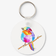 Colourful Little Bird