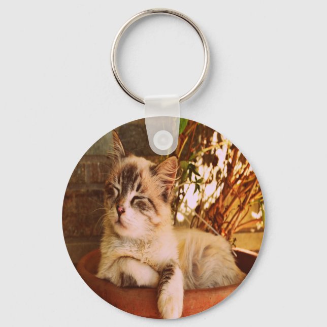Chaveiro Comfy Sleepy Gatinho (Frente)