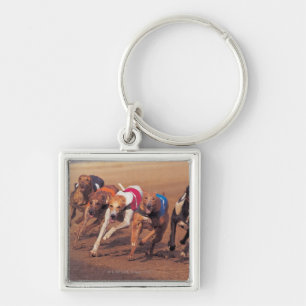 Chaveiro Competência de galgos na trilha