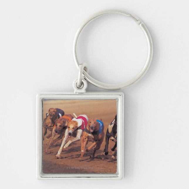 Chaveiro Competência de galgos na trilha (Frente)