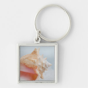 Chaveiro Conch Shell Florida
