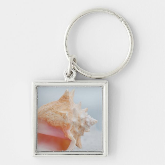 Chaveiro Conch Shell | Florida (Frente)