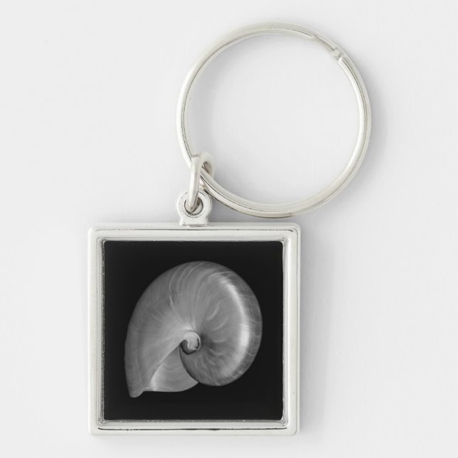 Chaveiro Concha de Nautilus Preta e Branca (Frente)