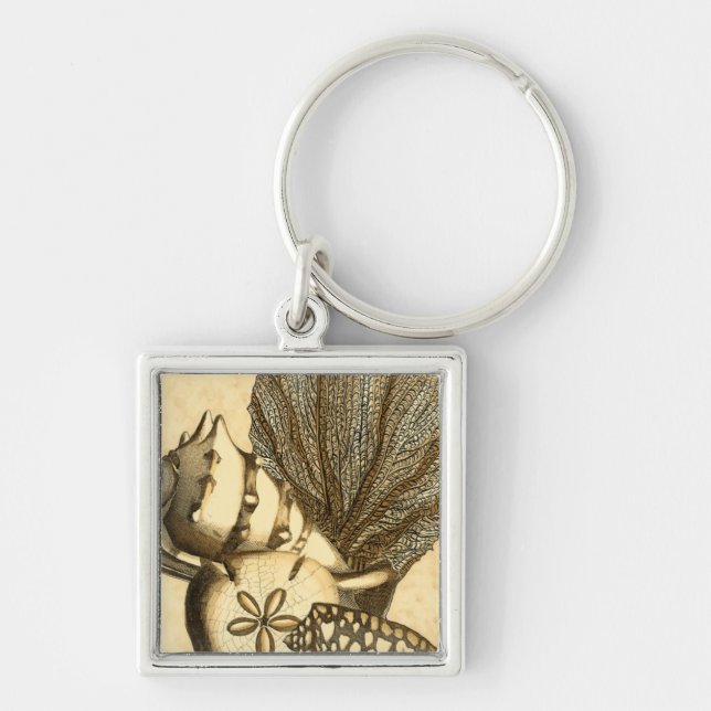 Chaveiro Conchas Neutras e Coleção de Corais (Frente)