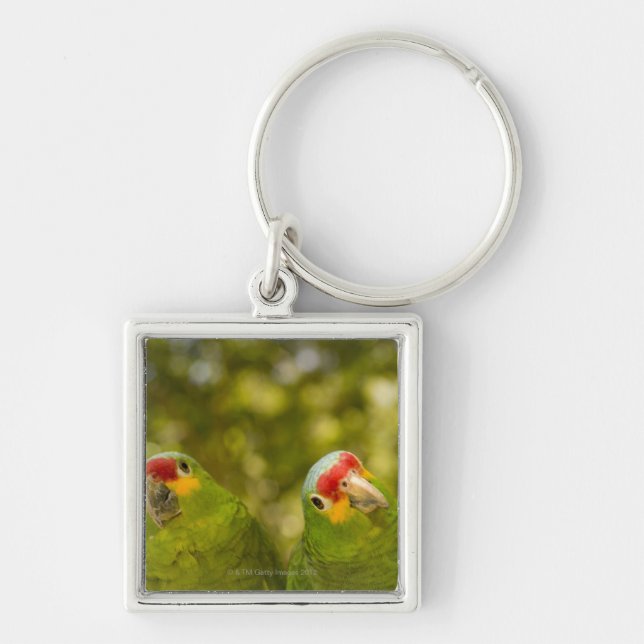 Chaveiro Copan, Honduras (Frente)